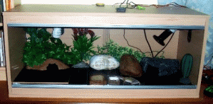 wooden vivarium