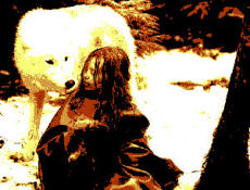 Abstract picture representing Survivre avec les loups (2008)